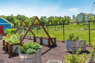 409 Boxelder Dr, Stafford, VA 22554 - Photo 53