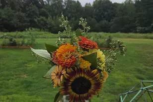 508 Crab Apple Dr, Stafford, VA 22554 - Photo 47