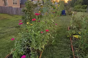 508 Crab Apple Dr, Stafford, VA 22554 - Photo 49