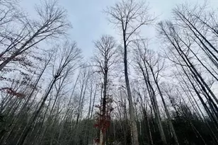 116 Waypointe Ct, Fredericksburg, VA 22406 - Photo 41