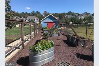 531 Apricot Street, Stafford, VA 22554 - Photo 45