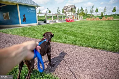 531 Apricot Street, Stafford, VA 22554 - Photo 47