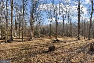 24 Winslow Rd, Fredericksburg, VA 22406 - Photo 15