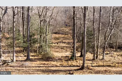 24 Winslow Road, Fredericksburg, VA 22406 - Photo 19