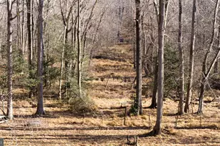 24 Winslow Rd, Fredericksburg, VA 22406 - Photo 19