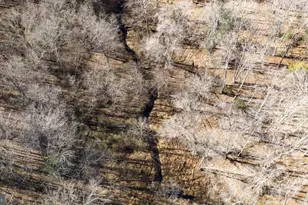 24 Winslow Rd, Fredericksburg, VA 22406 - Photo 69