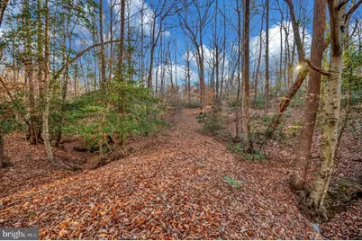 93 Dent Road, Stafford, VA 22554 - Photo 7