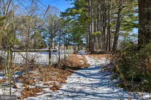 441 Hartwood Rd, Fredericksburg, VA 22406 - Photo 51