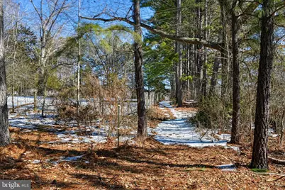441 Hartwood Road, Fredericksburg, VA 22406 - Photo 49