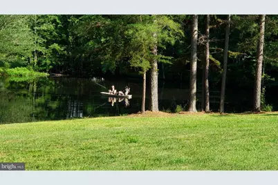 441 Hartwood Road, Fredericksburg, VA 22406 - Photo 5