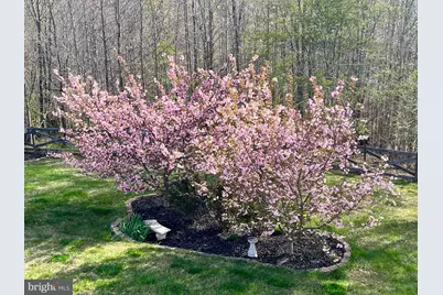 75 Regal Lane, Fredericksburg, VA 22406 - Photo 69