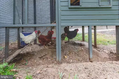 85 Hopewell Drive, Fredericksburg, VA 22406 - Photo 63