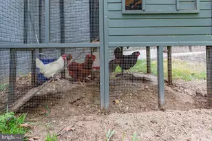 85 Hopewell Dr, Fredericksburg, VA 22406 - Photo 63