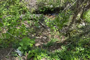 241 & 243 Cambridge St, Fredericksburg, VA 22405 - Photo 17