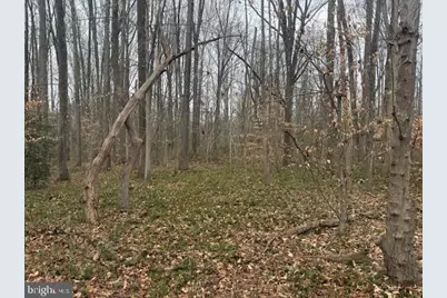 Brooke Road, Stafford, VA 22554 - Photo 17