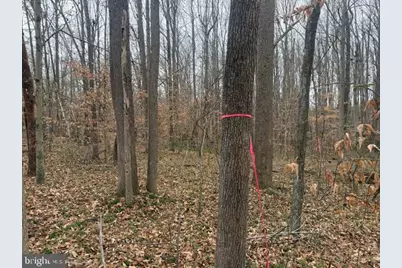 Brooke Road, Stafford, VA 22554 - Photo 11