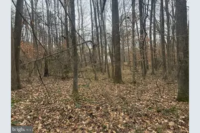 Brooke Road, Stafford, VA 22554 - Photo 29