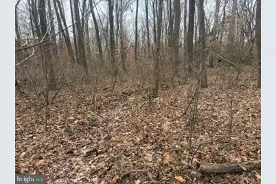 Brooke Road, Stafford, VA 22554 - Photo 21