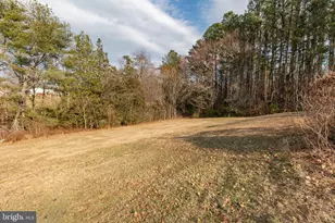 59 McCarty Rd, Fredericksburg, VA 22405 - Photo 51