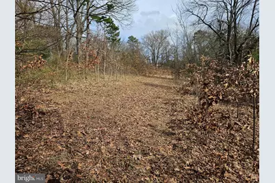 255 Butler Road, Fredericksburg, VA 22405 - Photo 3