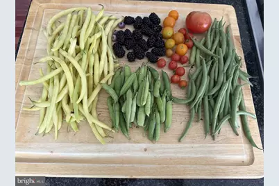 34 Bella Vista Court, Stafford, VA 22554 - Photo 59