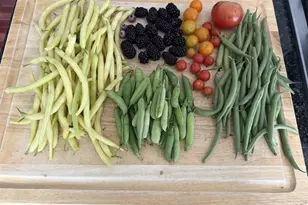 34 Bella Vista Ct, Stafford, VA 22554 - Photo 59