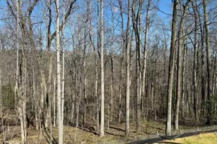 2507 Running Brk Ct, Stafford, VA 22554 - Photo 51