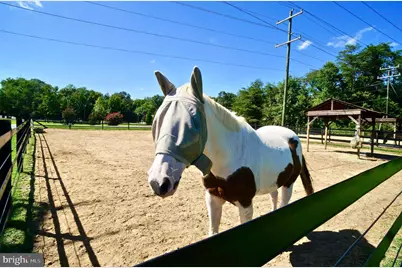 3101 Voyage Drive, Stafford, VA 22554 - Photo 51