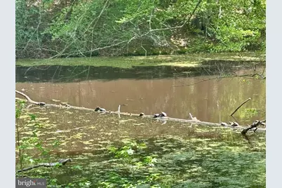 121 Marlborough Point Road, Stafford, VA 22554 - Photo 33