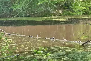 121 Marlborough Point Rd, Stafford, VA 22554 - Photo 33