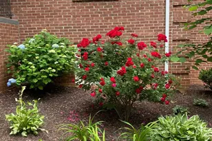 191 Winding Creek Rd, Stafford, VA 22554 - Photo 71