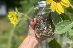 128 Theresa Dr, Stafford, VA 22554 - Photo 53