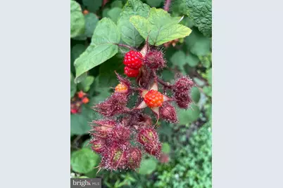 128 Theresa Drive, Stafford, VA 22554 - Photo 9