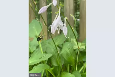 128 Theresa Drive, Stafford, VA 22554 - Photo 11