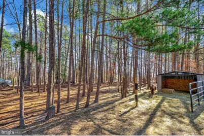 329 Mount Olive Road, Stafford, VA 22556 - Photo 49