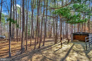 329 Mt Olive Rd, Stafford, VA 22556 - Photo 49