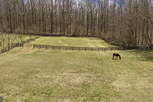 212 Kellogg Mill Rd, Fredericksburg, VA 22406 - Photo 67