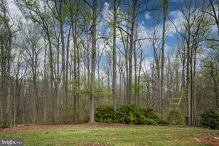 60 Richards Ferry Rd, Fredericksburg, VA 22406 - Photo 33