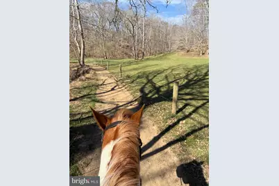 195 King Henry Ct., Fredericksburg, VA 22406 - Photo 11