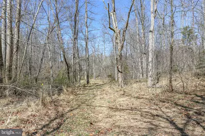 195 King Henry Ct., Fredericksburg, VA 22406 - Photo 9