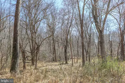 195 King Henry Ct., Fredericksburg, VA 22406 - Photo 19