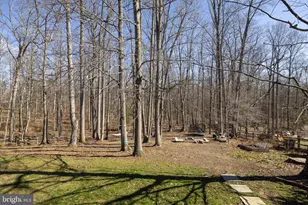 32 Norfolk St, Fredericksburg, VA 22406 - Photo 37