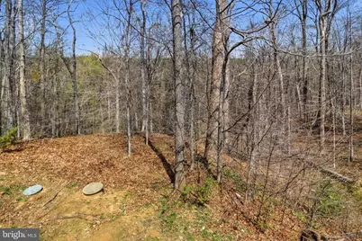 950 Grouse Pointe Drive, Stafford, VA 22556 - Photo 53