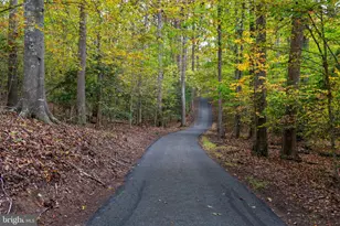 19 Windrush Ct, Stafford, VA 22554 - Photo 75