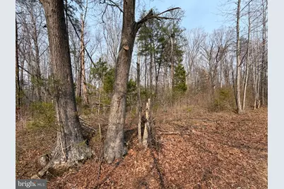 Marsh Lane, Fredericksburg, VA 22406 - Photo 13