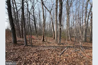 Marsh Lane, Fredericksburg, VA 22406 - Photo 21