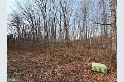 Marsh Lane, Fredericksburg, VA 22406 - Photo 5