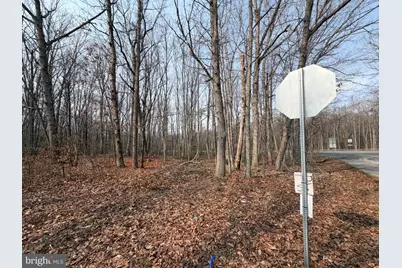 Marsh Lane, Fredericksburg, VA 22406 - Photo 3