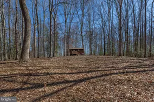 264 Holly Corner Rd, Fredericksburg, VA 22406 - Photo 45