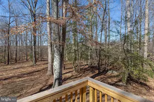 264 Holly Corner Rd, Fredericksburg, VA 22406 - Photo 49